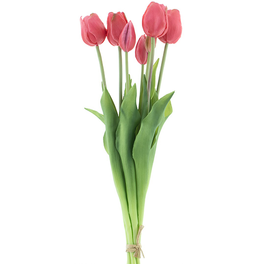 PSO Classic Tulip Bundle x7 beauty 47 cm