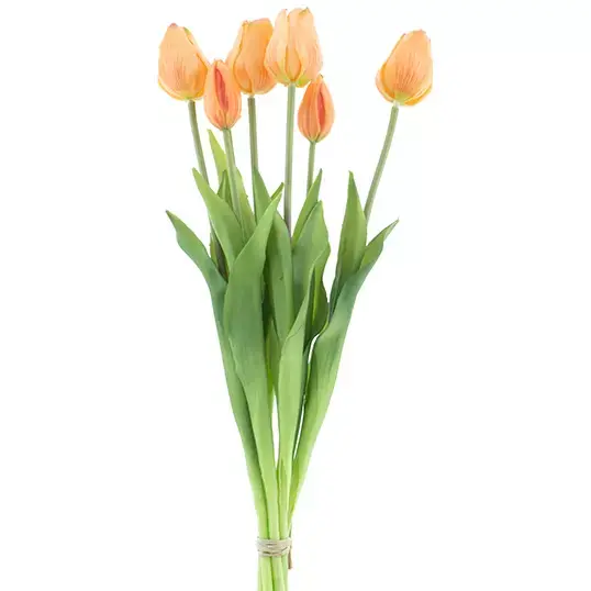 PSO Classic Tulip Bundle x7 peach 47 cm