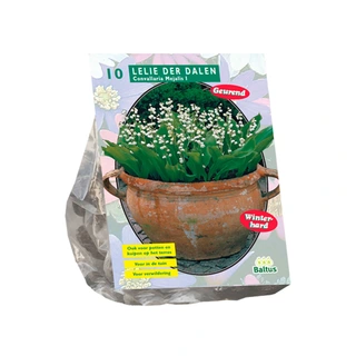 Baltus Convallaria Majalis - 10 st. | De Boet