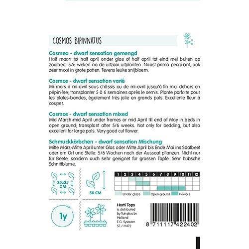 Horti Tops Cosmos, Cosmea Sonata gemengd - afbeelding 2