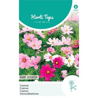 Horti Tops Cosmos, Cosmea Sonata gemengd - afbeelding 1