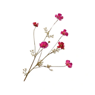 Kunstbloem Cosmos Beauty - 77 cm