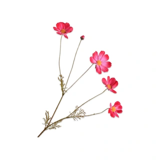 Kunstbloem Cosmos Beauty - 92 cm