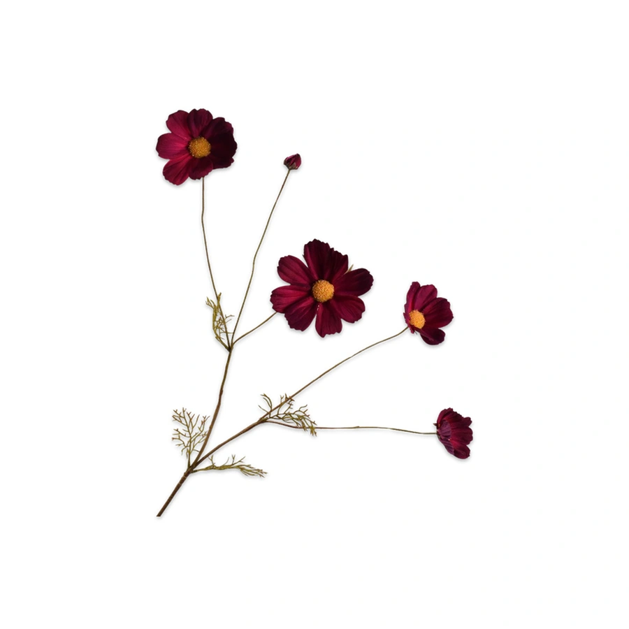 Kunstbloem Cosmos Bordeaux  - 92 cm