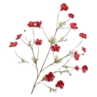 Kunsttak Cosmos Rood - 104 cm