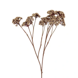 Countryfield Kunstbloem Eupatorium L - Lichtbeige | De Boet