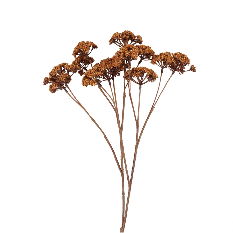 Countryfield Kunstbloem Eupatorium L - Lichtbruin