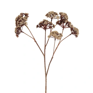 Countryfield Kunstbloem Eupatorium S - Beige