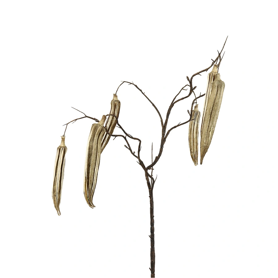 Countryfield Kunsttak Abelmoschus Esculentus - Naturel