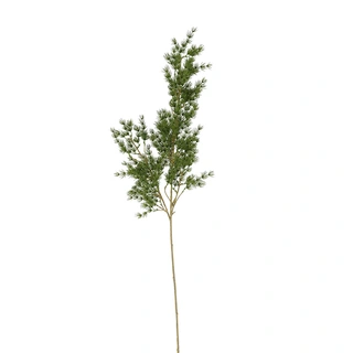Countryfield Kunsttak Asparagus - Lichtgroen | De Boet