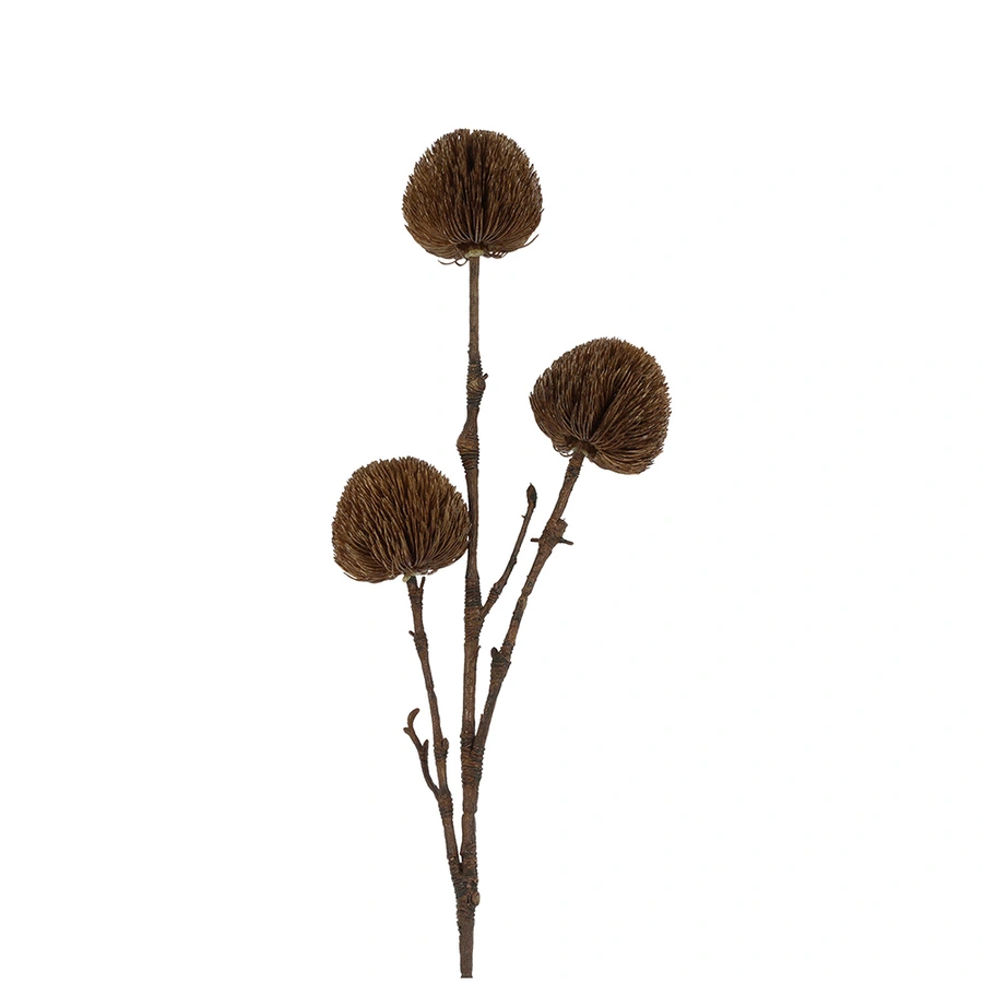 Countryfield Kunsttak Banksia - Veelkleurig