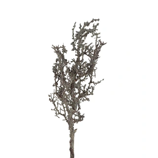 Countryfield Kunsttak Lichenes - Zwart | De Boet