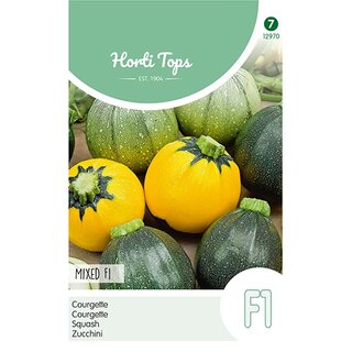 Horti Tops Courgette Ronde F1 soorten, gemengde kleuren - afbeelding 1