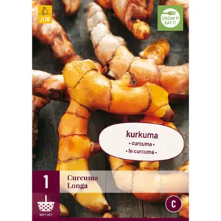 JUB Holland Curcuma Longa - 1 st.