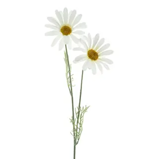 Kunstbloem Daisy Cordoba spray white 56cm