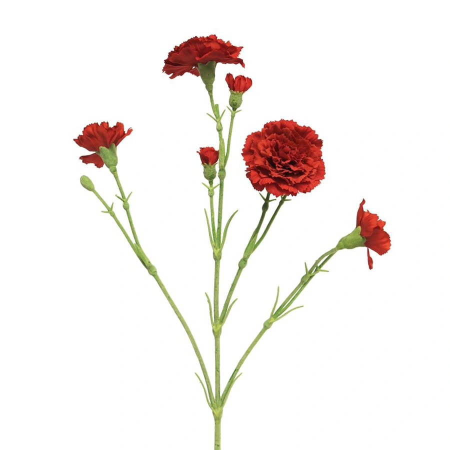Kunstbloem Dianthus Charly Red - 62 cm