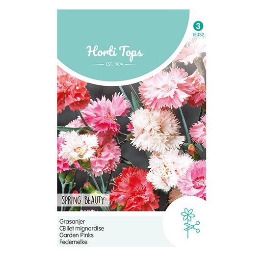 Horti Tops Dianthus, Grasanjer Spring Beauty - afbeelding 1