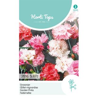 Horti Tops Dianthus, Grasanjer Spring Beauty - afbeelding 1