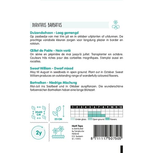 Horti Tops Dianthus, Duizendschoon laag gemengd - afbeelding 2