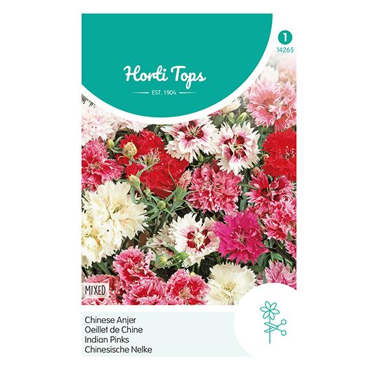 Horti Tops Dianthus, Chinese Anjer dubbelbloemig gemengd - afbeelding 1