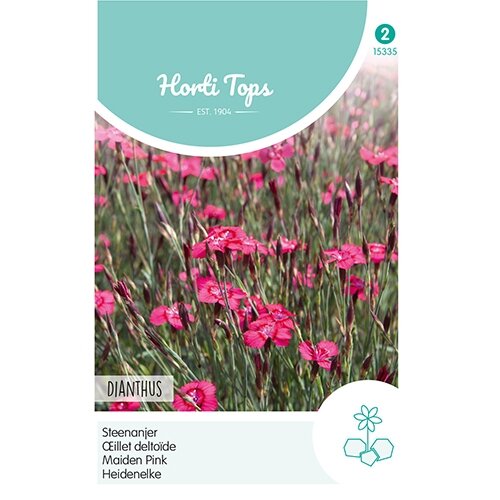 Horti Tops Dianthus, Steenanjer Karmijnrose - afbeelding 1
