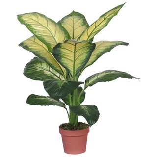 Kunst Dieffenbachia Dotied - 105 cm