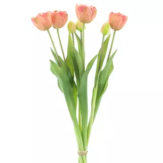 PSO Double Tulip bundle  peach  44 cm