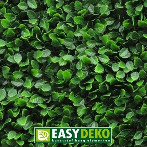 Easydeko Beuken kunsthaag - 50x50 cm