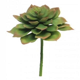 Kunst Echeveria Vetplant 17 cm - Green