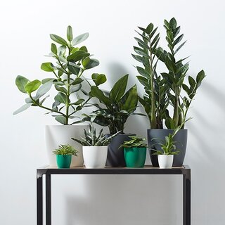Elho Pot Brussels  Ø20 cm - Wit - afbeelding 4