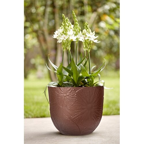 Twisted Uitgang verraad Elho Fuente Lily Rond Ø38 cm - Rusty Brown | Tuincentrum De Boet