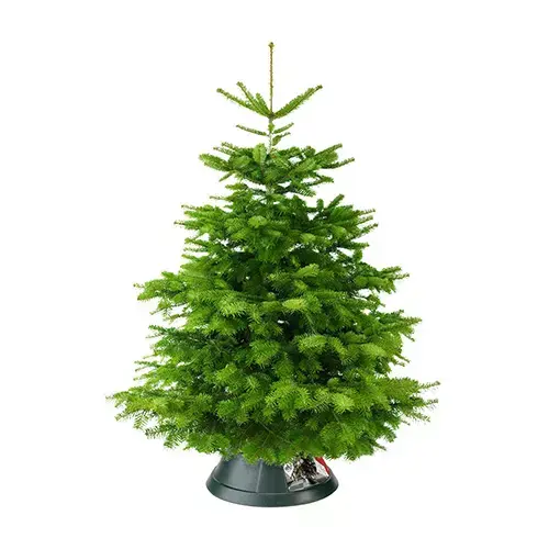 Easyday Kerstboomstandaard Groen - ∅39 cm - afbeelding 2