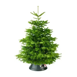 Easyday Kerstboomstandaard Groen - ∅39 cm - afbeelding 2