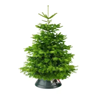 Elho Kerstboomstandaard Nordman Ø52 cm - Groen - afbeelding 2