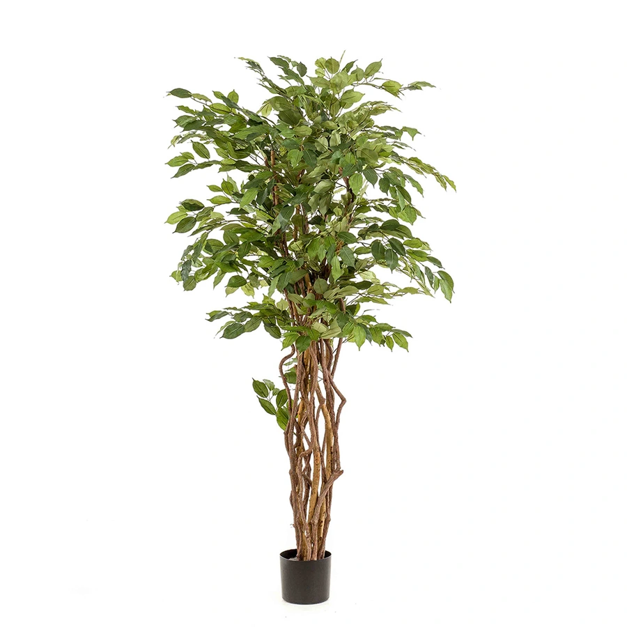 Kunst Ficus liana 170cm