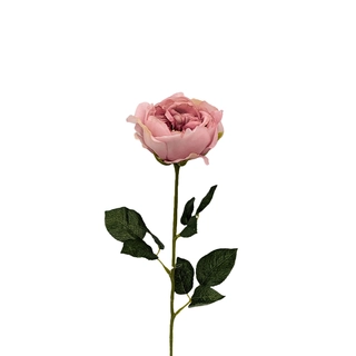 Kunst Engelse Roos Oud Roze - 59 cm