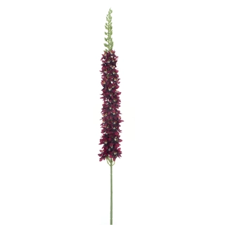Kunstbloem Eremurus Flers Rood - 105 cm