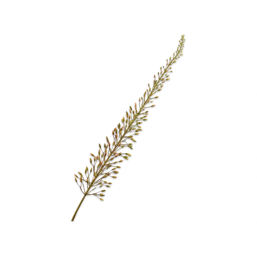 Kunsttak Eremurus Steel Bruin - 162 cm