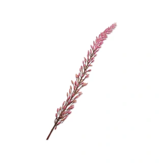 Kunsttak Eremurus Steel Roze - 118 cm - afbeelding 2