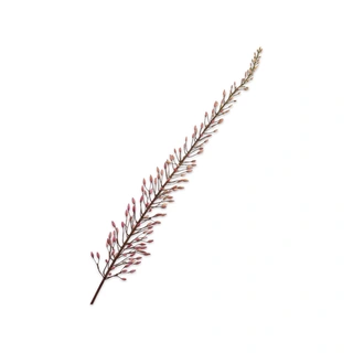 Kunsttak Eremurus Steel Roze - 162 cm