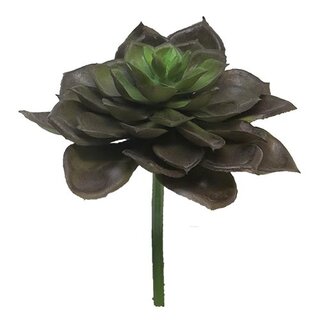 Kunst Echeveria Vetplant 17 cm - Bruin