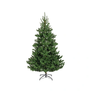 Everlands Alba Fir - 210 cm - afbeelding 1