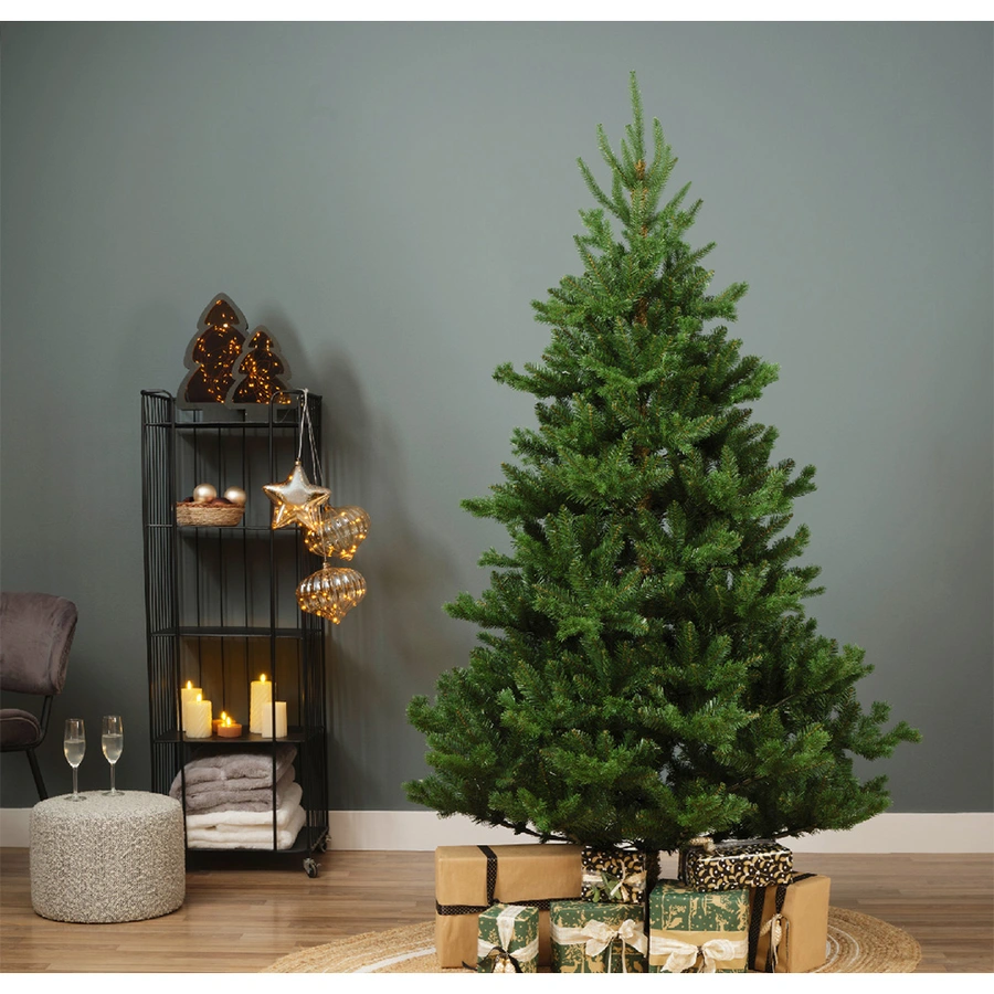 Everlands Alba Fir - 210 cm - afbeelding 4
