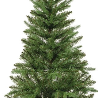Everlands Bretton fir - 150cm - afbeelding 2