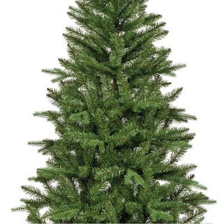 Everlands Bretton fir - 210cm - afbeelding 2