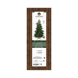Everlands Geneva Fir - 180 cm - afbeelding 8
