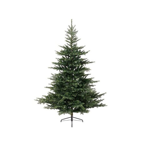 Everlands Grandis Fir Green - 150 cm - afbeelding 1