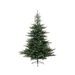 Everlands Grandis Fir Green - 150 cm - afbeelding 1