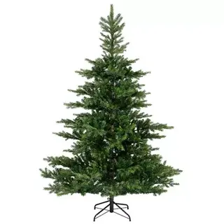 Everlands Grandis Fir Green - 300 cm - afbeelding 1