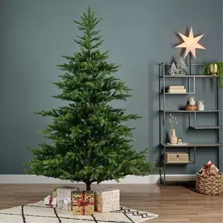 Everlands Grandis Fir Green - 300 cm - afbeelding 4